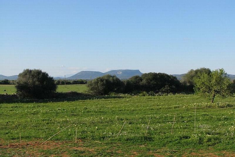 Casa Rural Cerca Es Trenc * Campos (Mallorca)